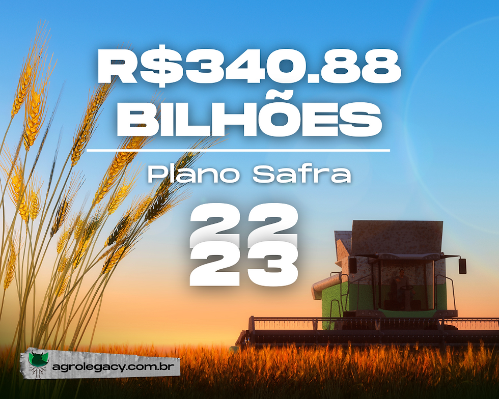PLANO SAFRA 22/23