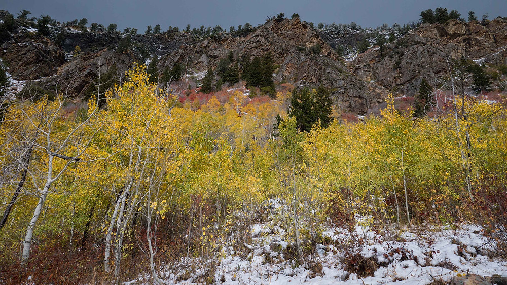 Just some colors. And snow.