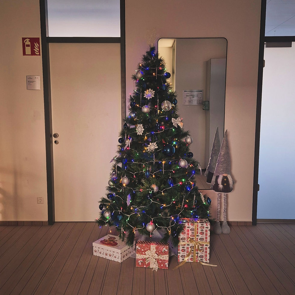 Für uns beginnt die magische Zeit jetzt!