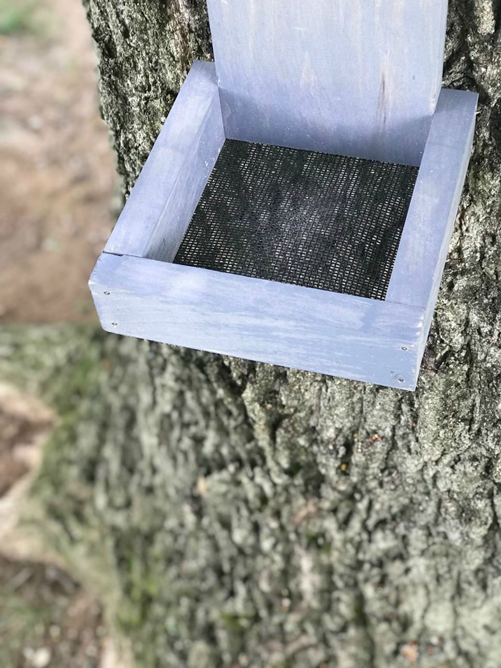 Thumbnail: Loss of Husband, Loss of Spouse, Sympathy Gift, Bird Feeder, Cardinal, Sympathy 