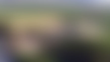 ¿Por qué no me lo han contado antes?