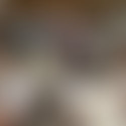 Familias del colegio Guadalaviar