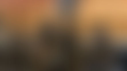 "L’art de no perdre la xispa”