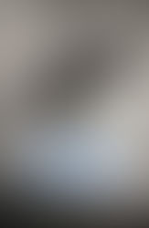 Libro recomendado: La última rosa