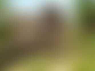 紀錄片到底該不該介入?