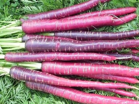 Sweet Soil Winter CSA ~ Week 7 & 8