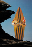 Portrait of the Surfboard as an Artist, 2021
