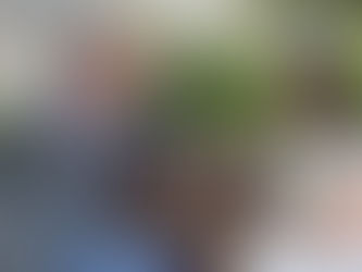 MÁV–Volán: nagy döntés készül az ingyenességről