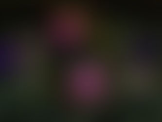 Advent első vasárnapja van