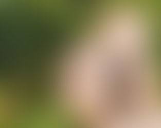 A înviat Isus cu adevărat din morţi ???