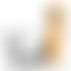 O viziune globală asupra Evangheliei – punctele tari şi punctele slabe ale evanghelicilor (3)