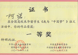 2013年我与我的中国梦第一名 copia.jpg