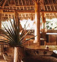 Che Shale Restaurant