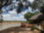 Safari | Kenya