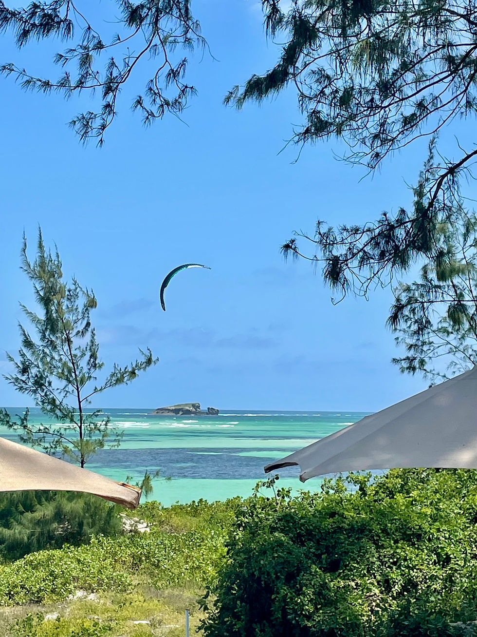 Kite glides over a turquoise beach, framed by trees and umbrellas, with a small island on the horizon under a clear blue sky