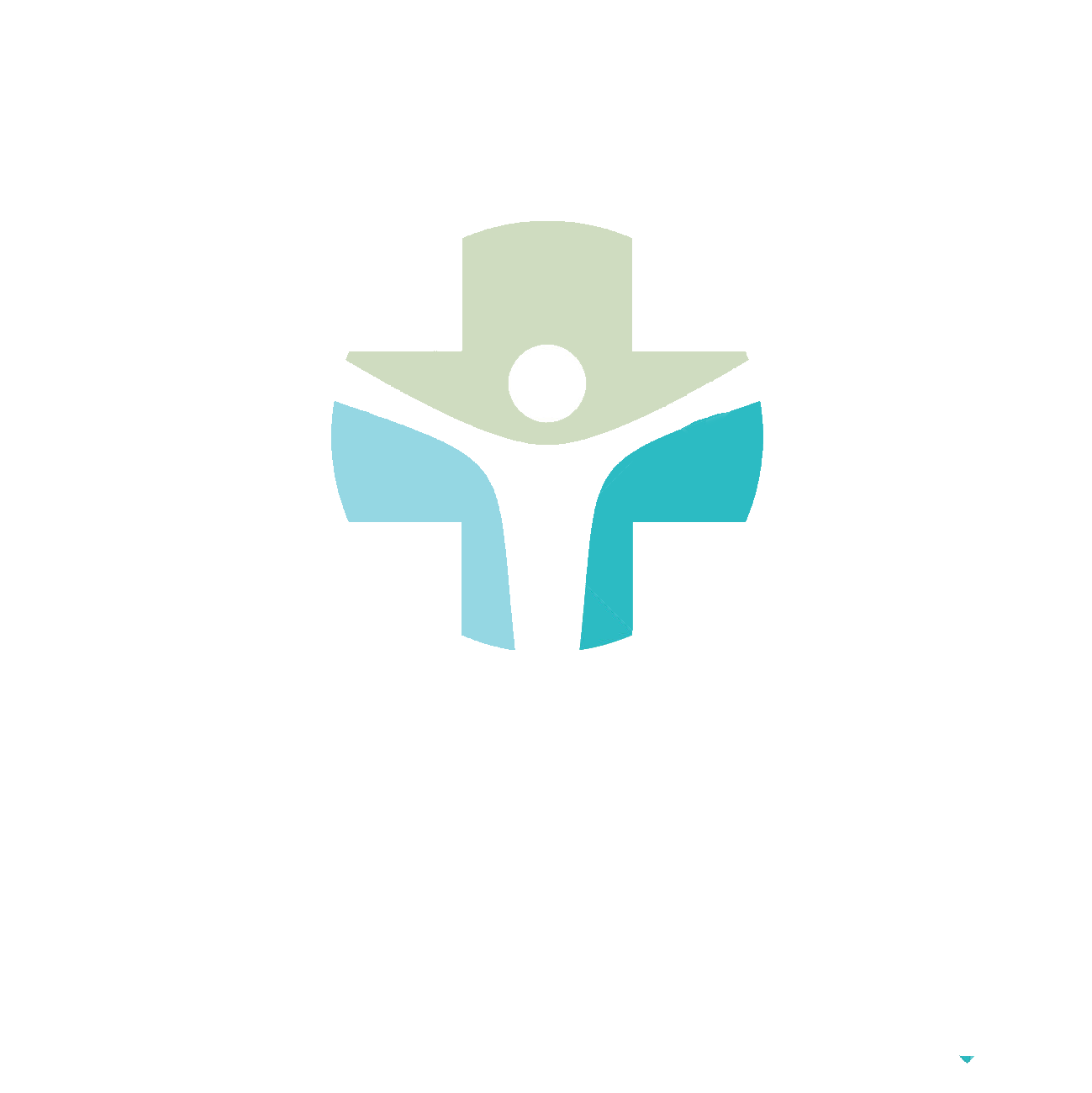 child-jesus-hospital.gif