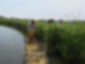 Photo 3.JPG