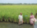 selected-1.JPG