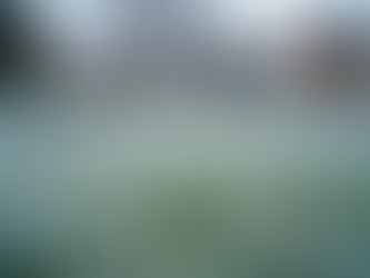 Essential Tips for Effective Winter Lawn Care