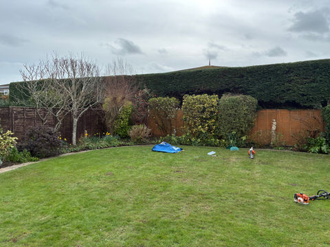 Hedge Trimming works in Aldwick