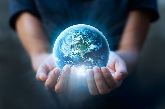 웰니스 인자 Wellness Elements