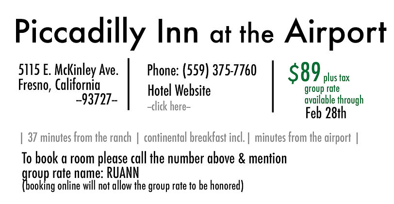 piccadilly 3UPDATE.jpg