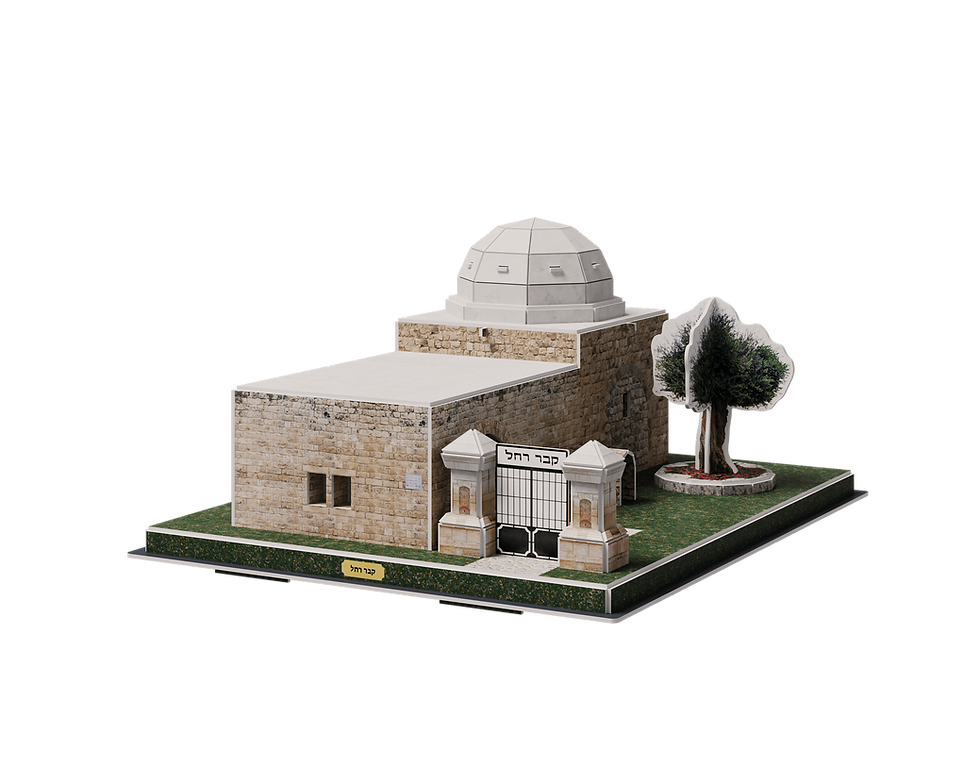 Main angle-min-1.png