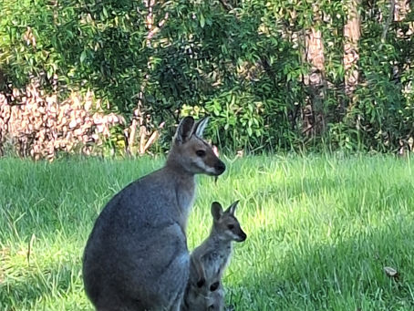 July 2024: Chemical, Water Quality and Macroinvertebrate Analysis