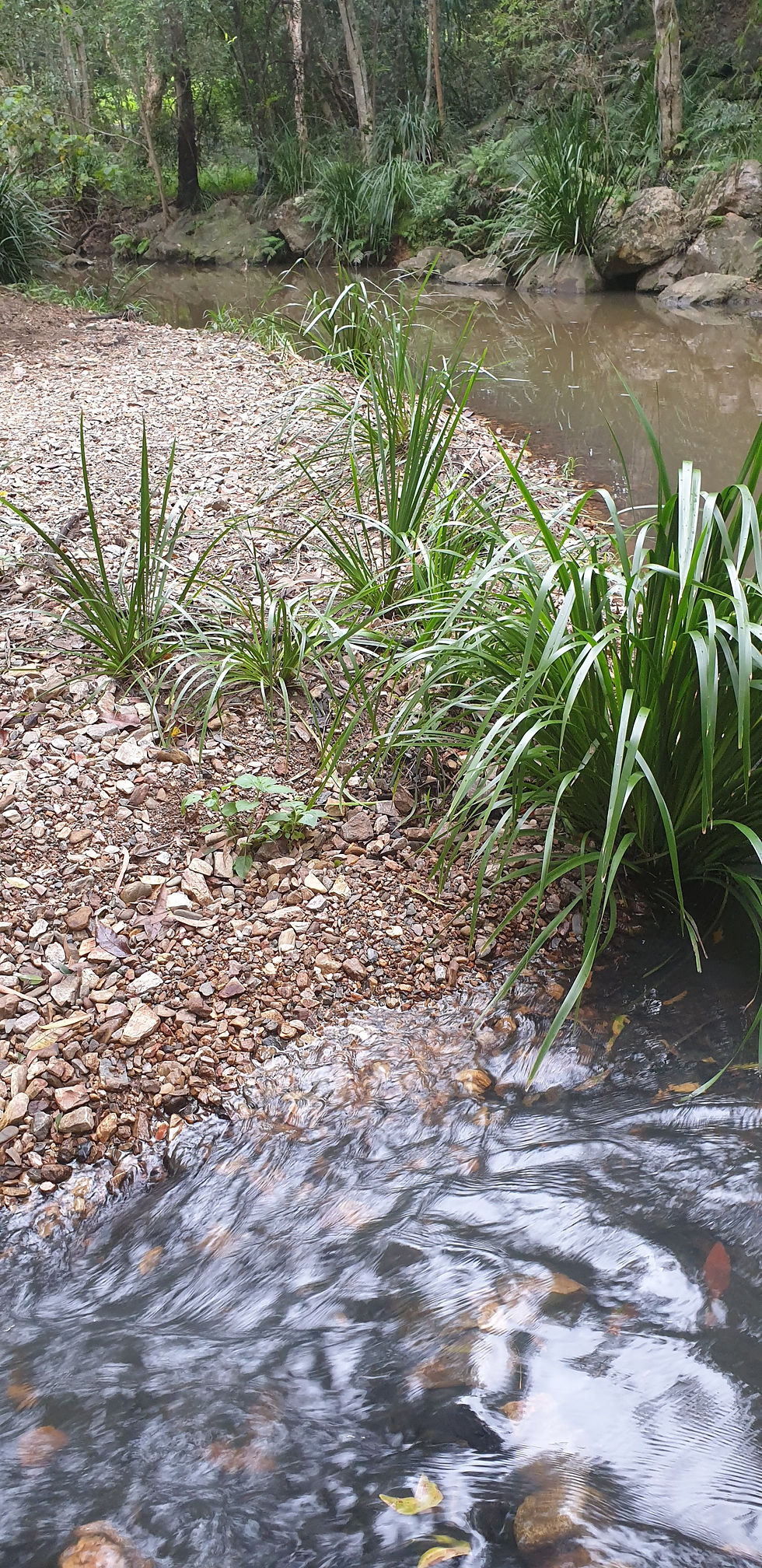 March 2026: Chemical, Water Quality and Macroinvertebrate Analysis