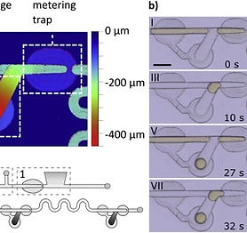 Passive and parallel microfluidic formation of droplet interface bilayers (DIBs) for measu
