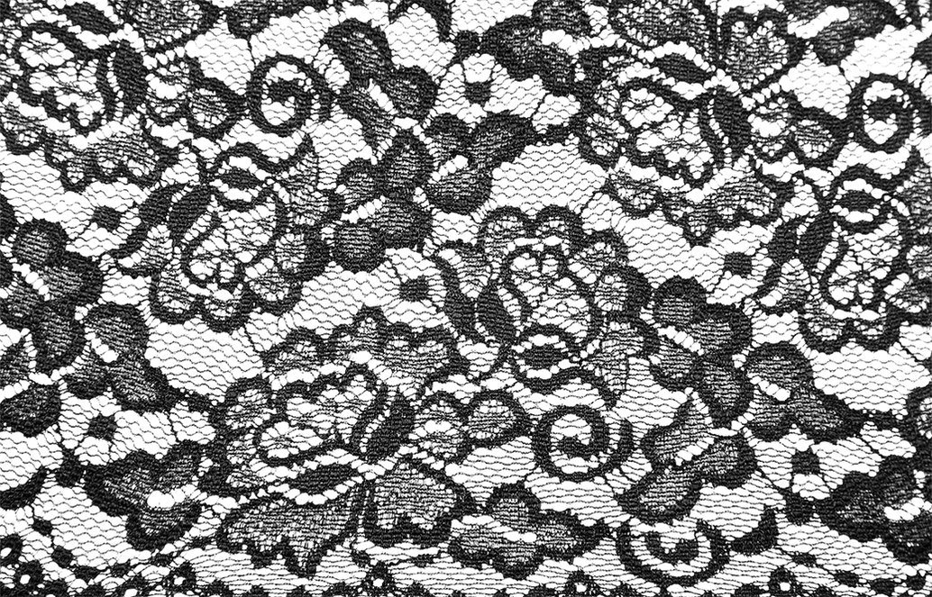 Black Lace Transparent