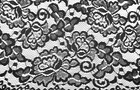 Black Lace Transparent