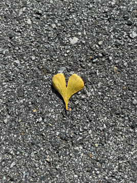 Good Grief? What Navigating Loss Is Teaching Me About Feeling Everything