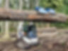 A man inside of a bobcat excavator is holding up a log with the excavator. There are logs and trees in the background. The excavator is mostly white with a black front and orange details.