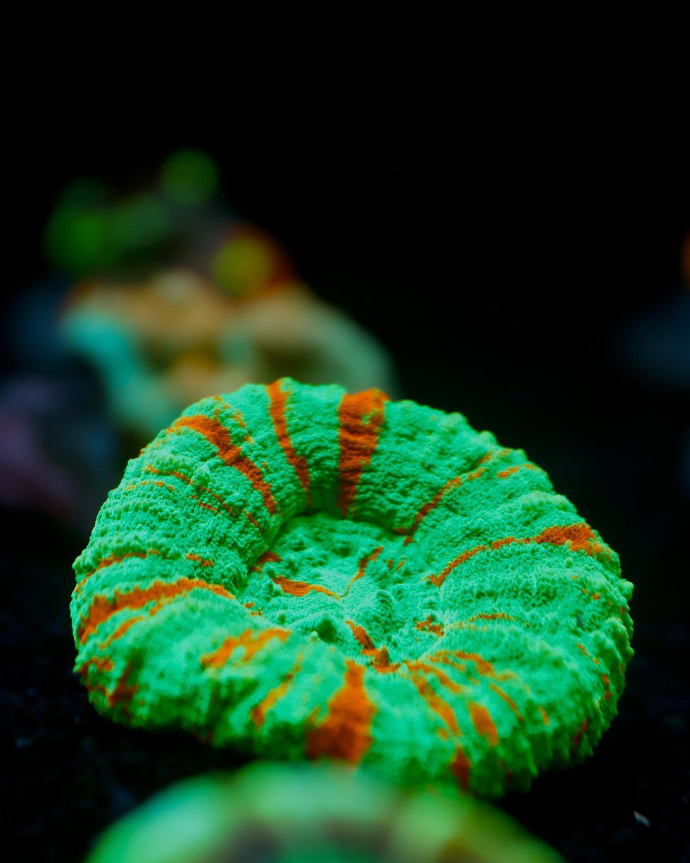 483747485_1202939411839813_3206584888027478332_n