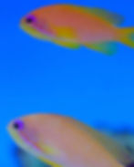 484458279_1202507611882993_4468182107458089455_n