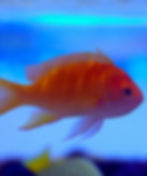 483764777_1203270358473385_7487556689710728088_n