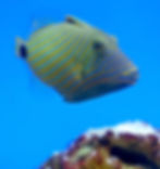 483099391_1202520615215026_6977032045790863687_n