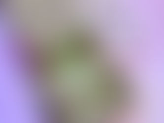 שיש תפוז שוקולד