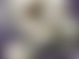 סהרוני ערמונים