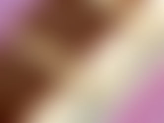 עוגת ביסקוויט-קרמשניט