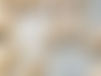 עוגיות פובידל