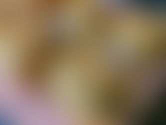 פיננסייר טופי קרמל