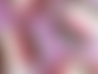 בראוניז גלידת נפוליטנה