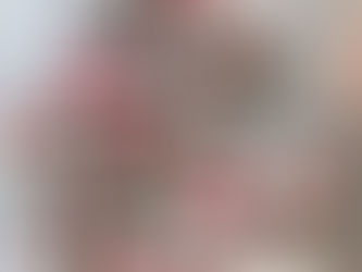 עוגיות שוקולד תות