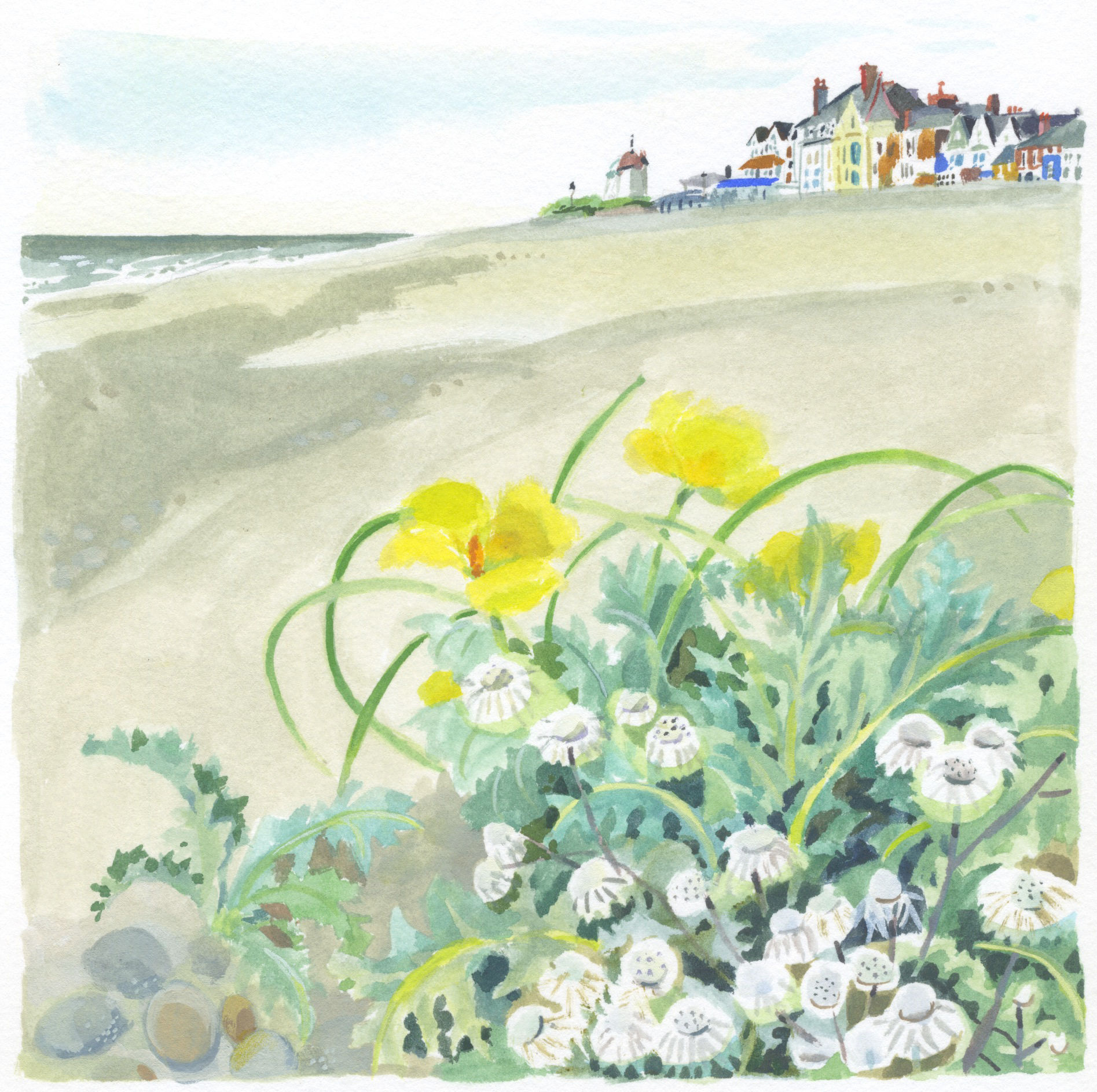 Beach flora