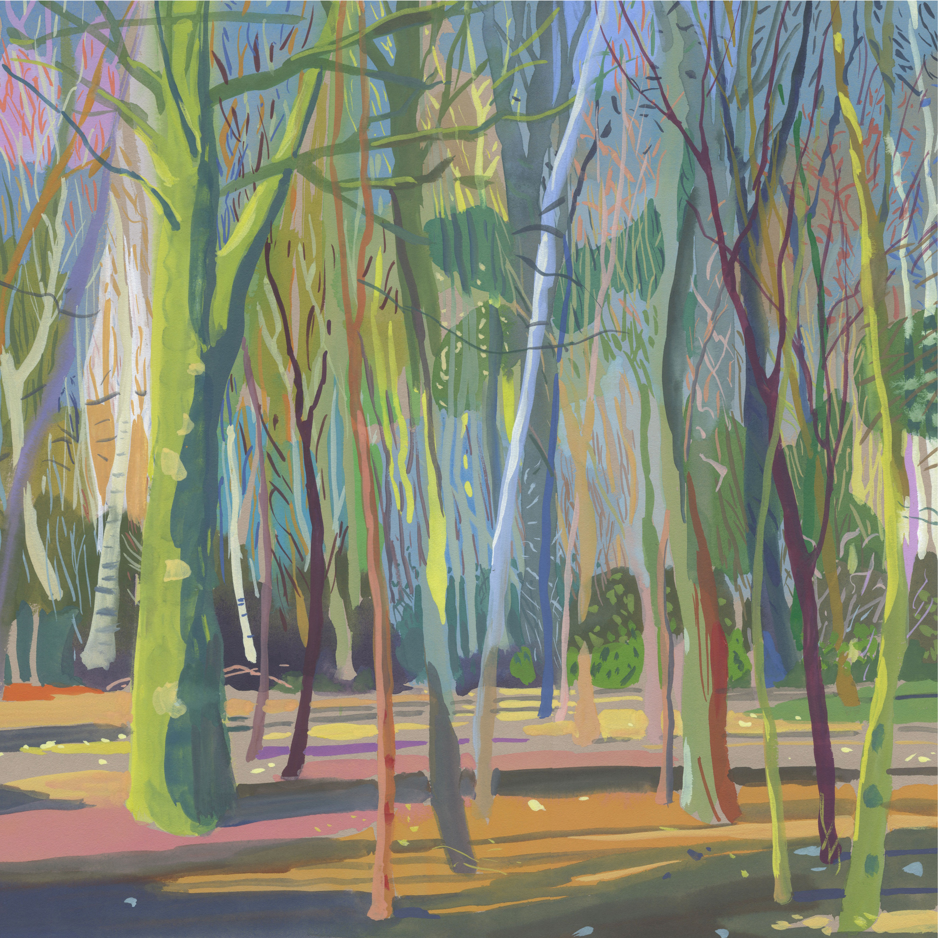 Winter Woodland