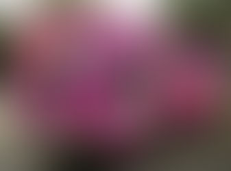 MíDIAS ALTERNATIVAS