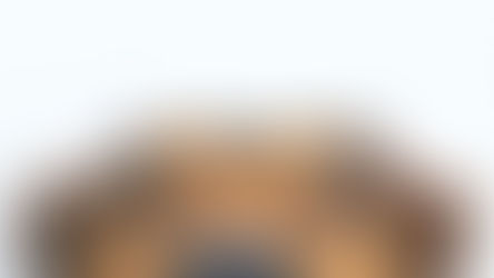 How Can I Know What My Dog Is Thinking?