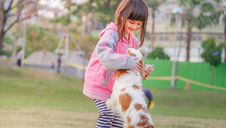 (Podcast) #PetParentsAsk Ep. 7: How Do I Reward My Puppy Without Getting Them Excited?